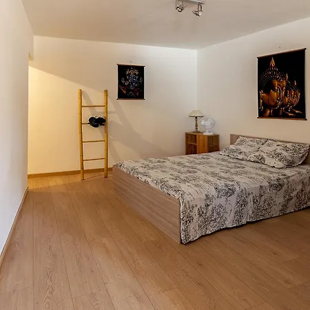 Apartment Dans Le Centre Medieval *